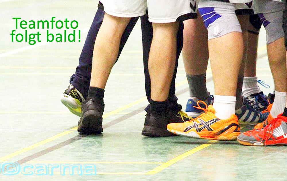 Handballkobolde HSV Handball